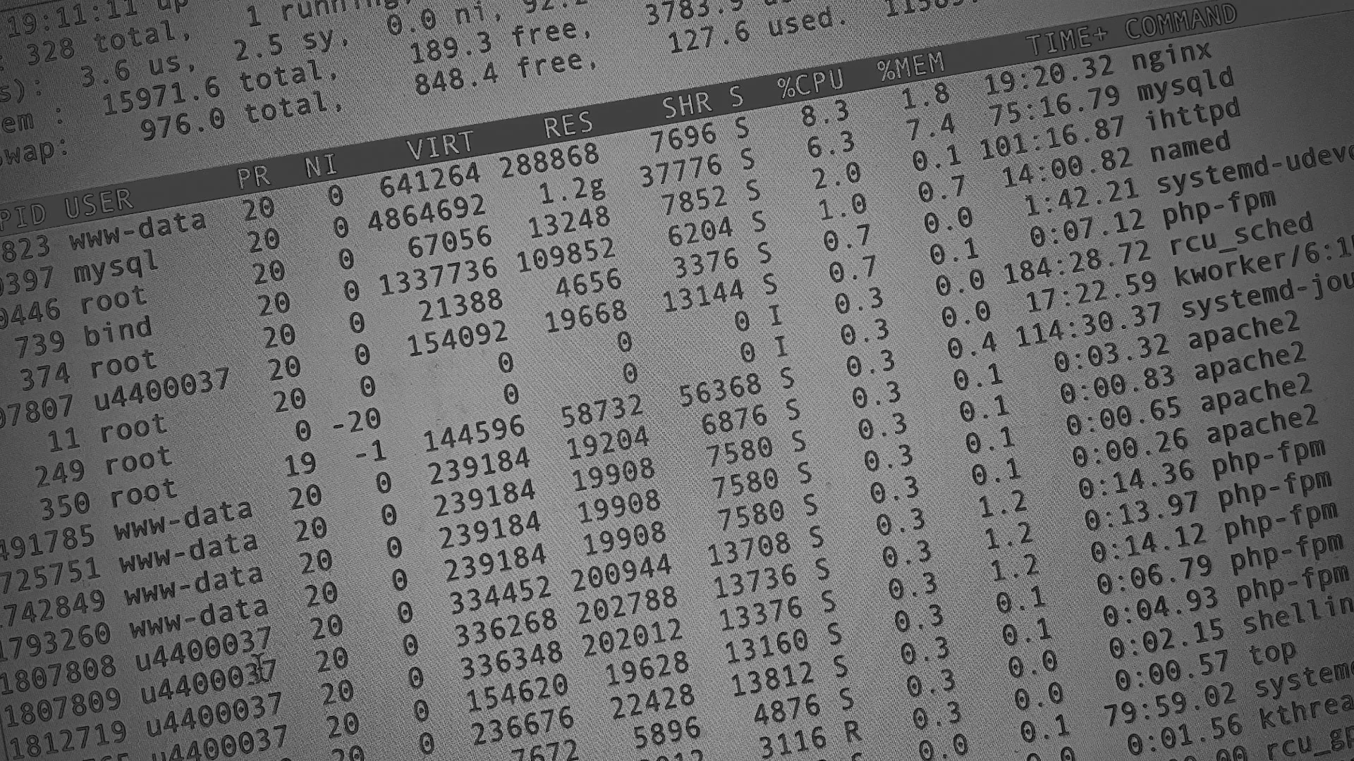 Настройка сервера в Кохме