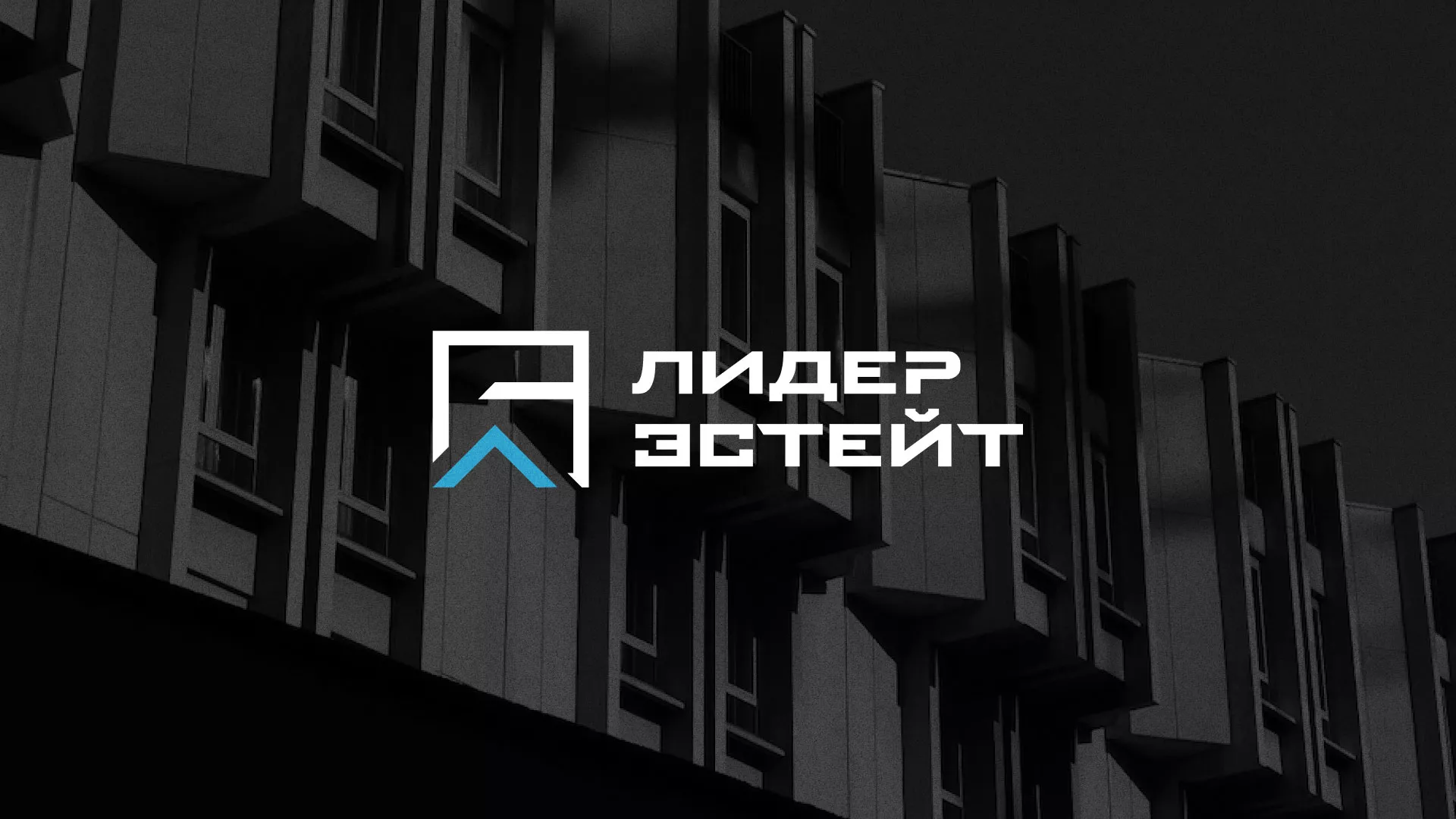 Разработка логотипа агентства недвижимости «Лидер Эстейт» в Кохме